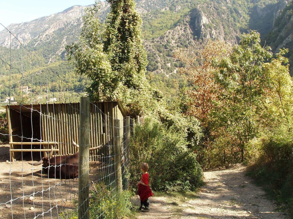 Bellevue Casa de Férias Prades (Pyrenees-Orientales)
